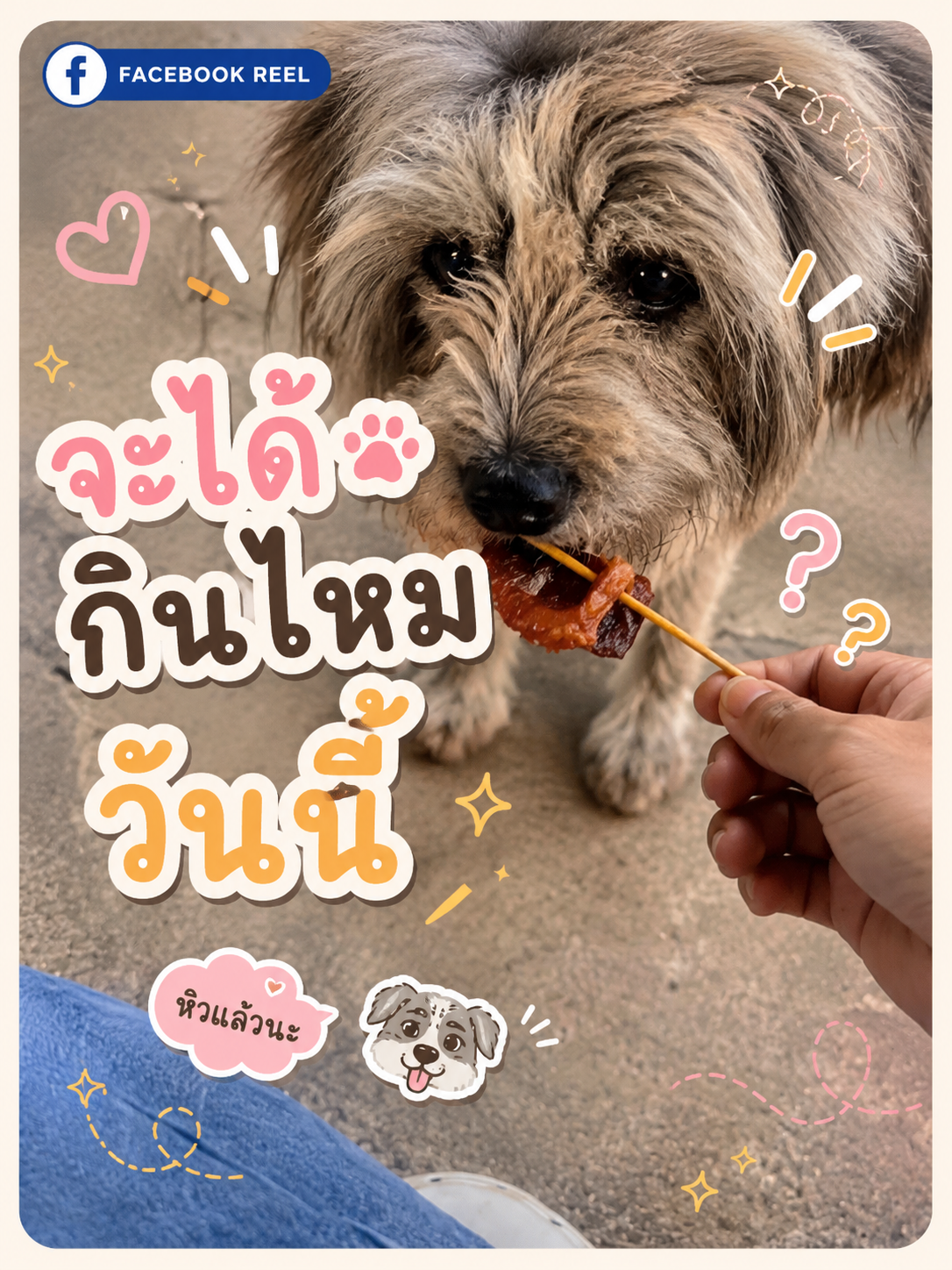 จะได้กินไหมวันนี้